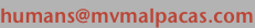 shapeimage_8_link_2